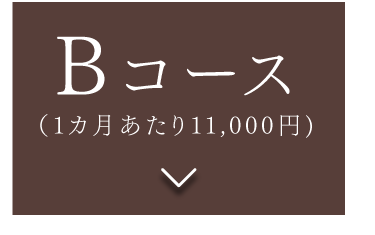 「Bコース」(1カ月あたり11,000円)▼