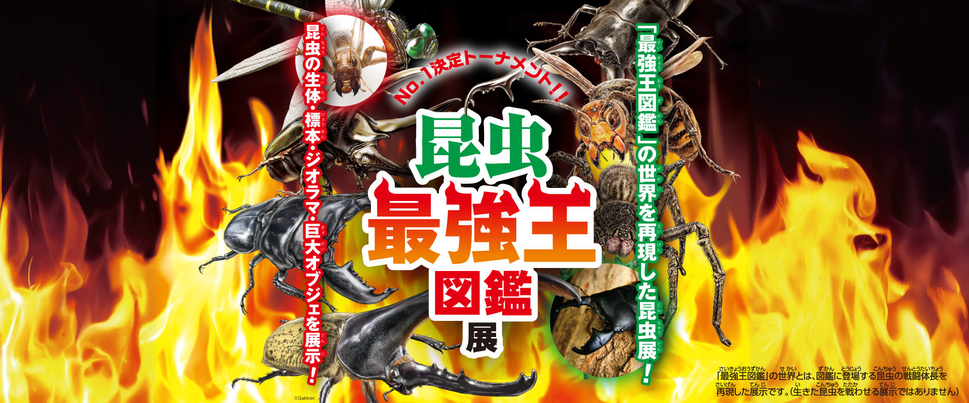 パソコン用の画像