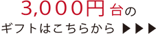 3,000円台のギフトはこちら