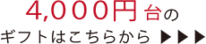 4,000円台ギフトはこちら