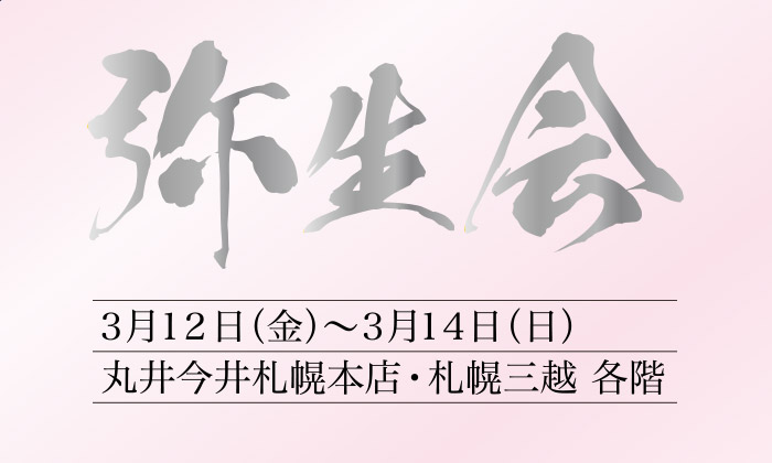 www maruiimai mistore jp