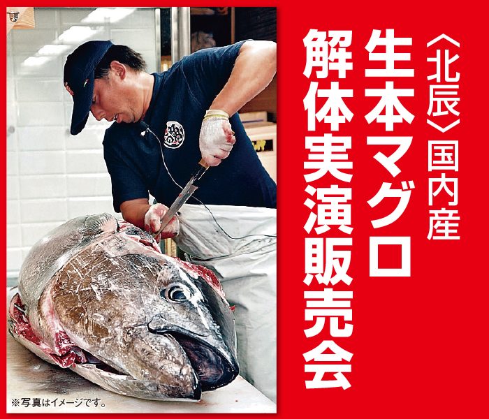 ＜北辰＞国内産 生本マグロ解体実演販売会