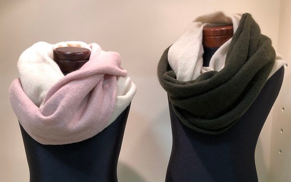 ショップニュース画像