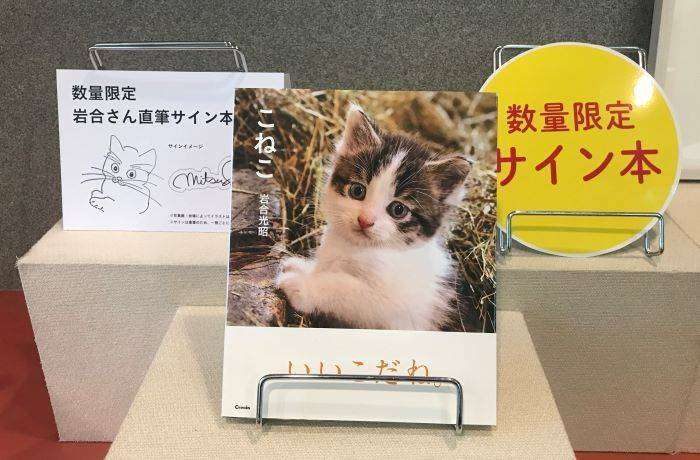 こねこサイン本サンプル