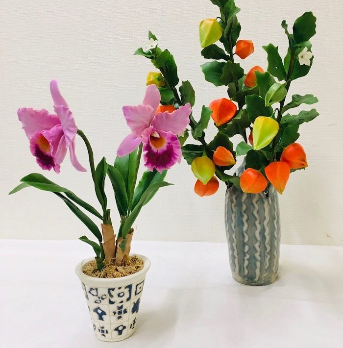 ショップニュース画像
