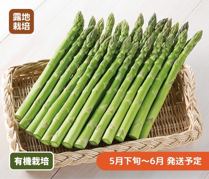 item-list__bg-img