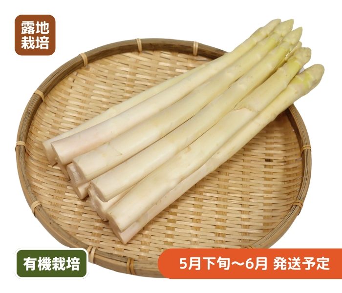item-list__bg-img