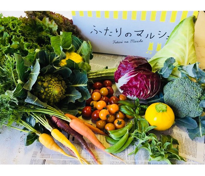 ショップニュース画像