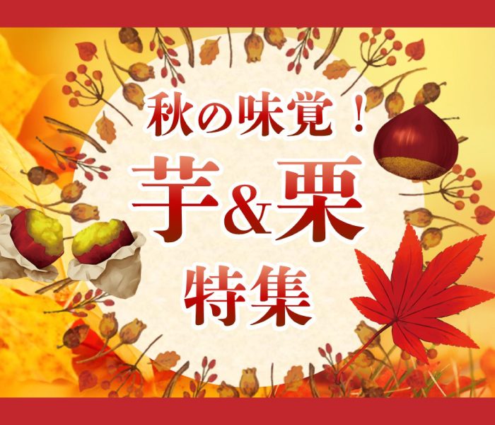 ショップニュース画像