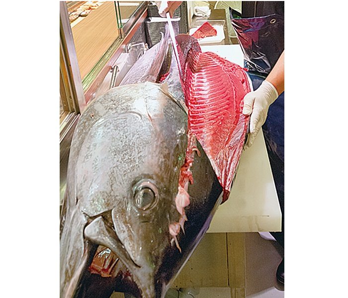 ショップニュース画像