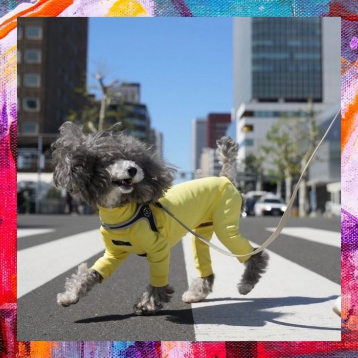 〈日々〉The Doggie Market